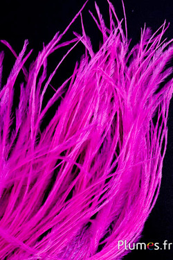 Autruche barbules - 8-15 cm - fuchsia
